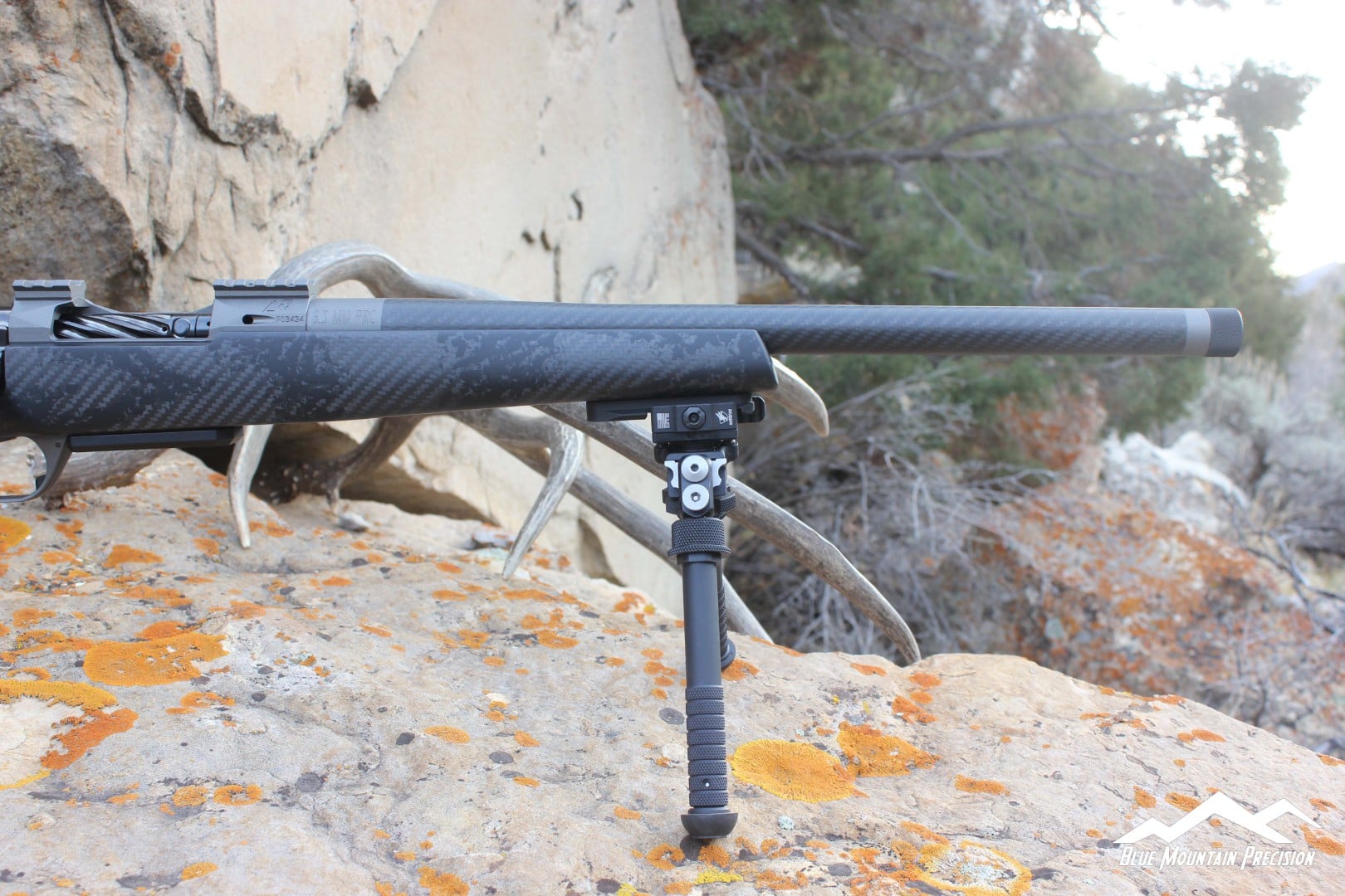 Ole Broomer CF (Sheep Rifle) - Image 5