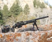 custom varmint rifle 6 creedmoor