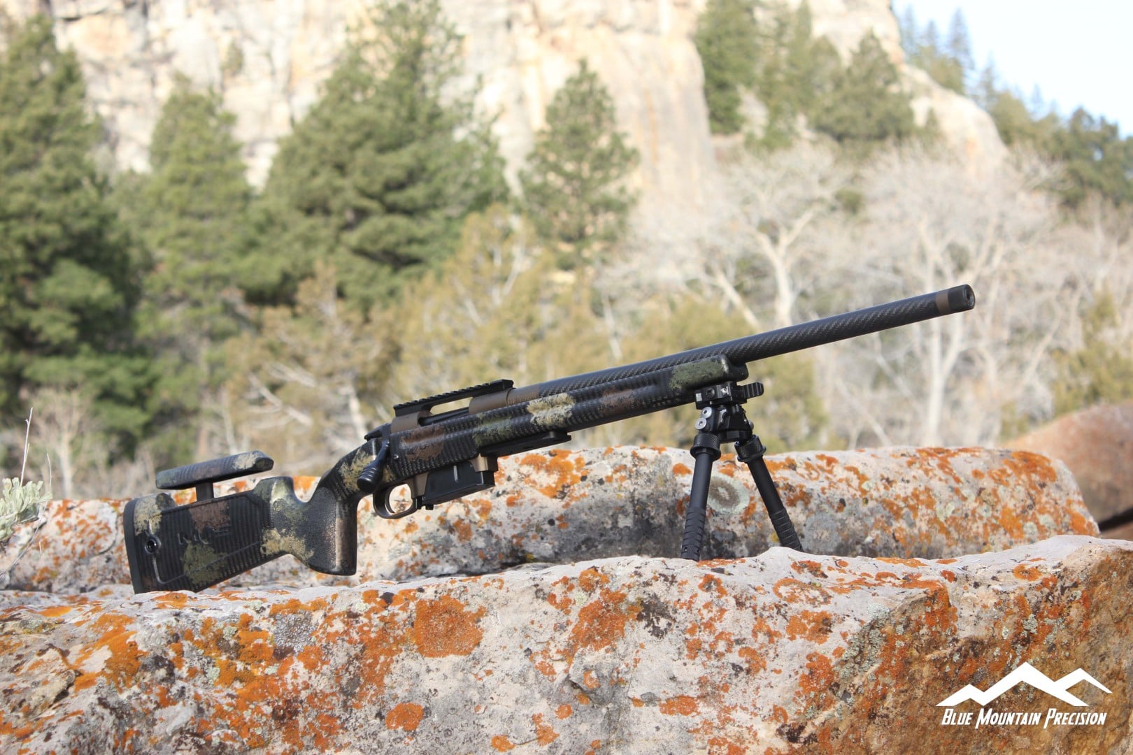 custom varmint rifle 6 creedmoor